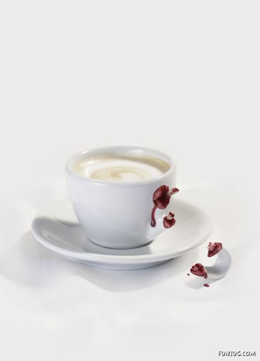 Amazing Pictures Worth 1000 Words