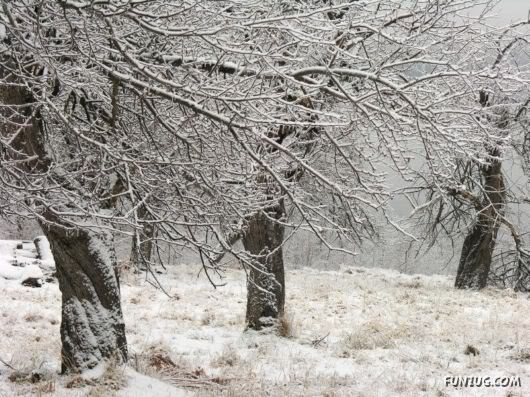 Amazing Pictures Worth 1000 Words