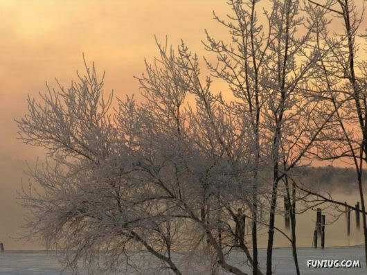 Amazing Pictures Worth 1000 Words