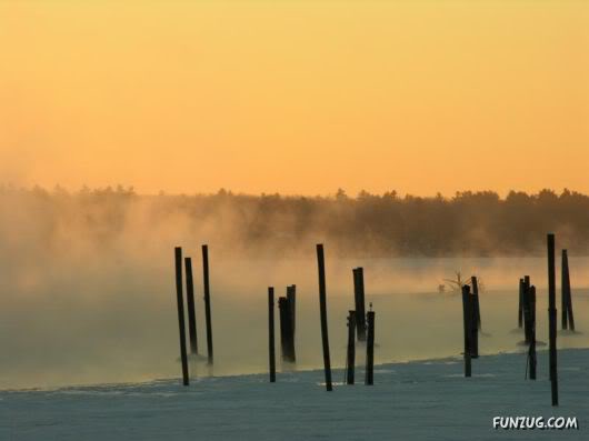 Amazing Pictures Worth 1000 Words