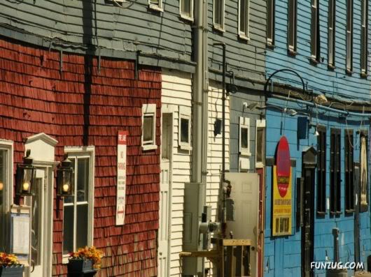 Amazing Pictures Worth 1000 Words