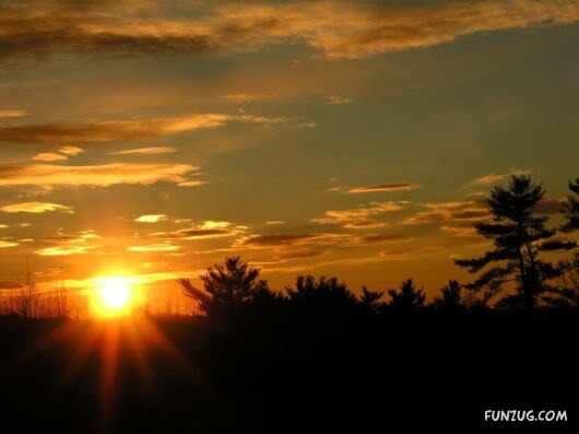 Amazing Pictures Worth 1000 Words