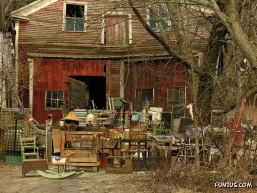 Amazing Pictures Worth 1000 Words